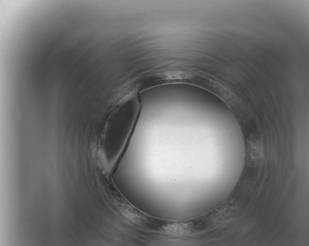 X0000067390422200604071758