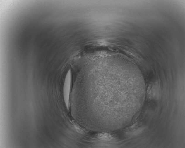 X0000067390424200604071758