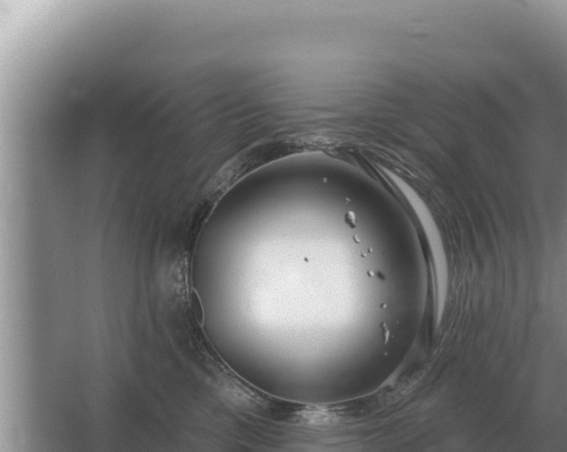 X0000067390425200604071758