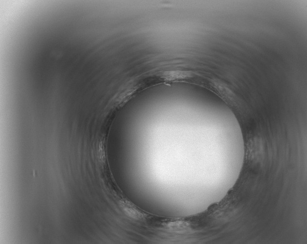 X0000067390426200604071758