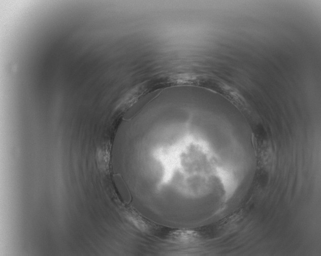 X0000067390427200604071758