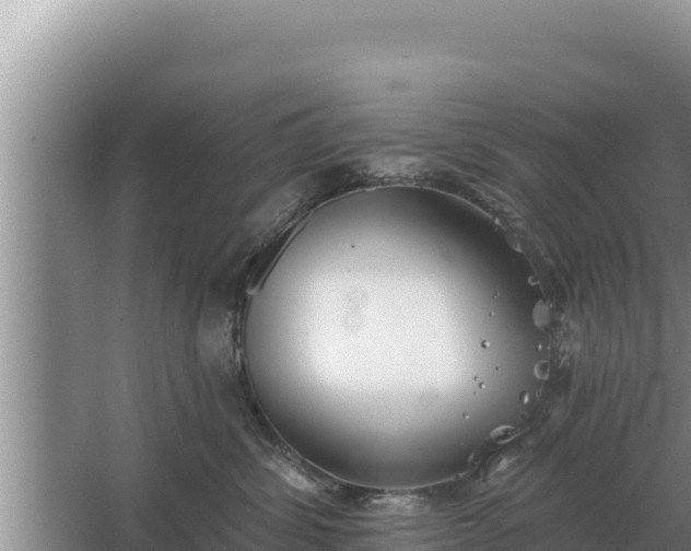 X0000067390428200604071758