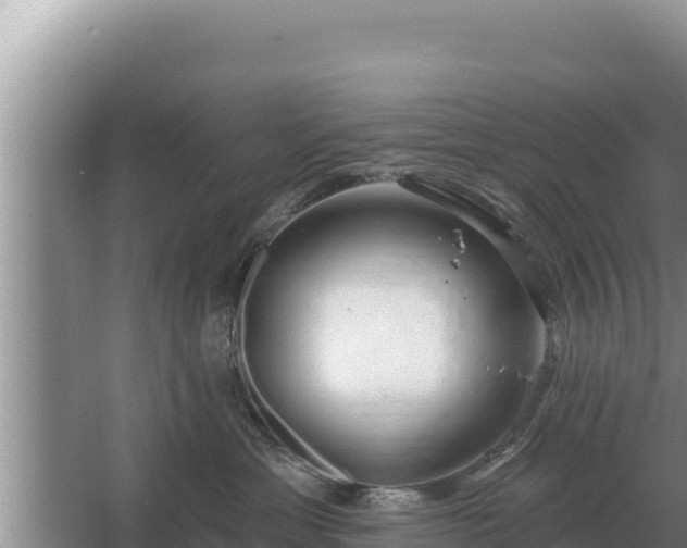 X0000067390429200604071758