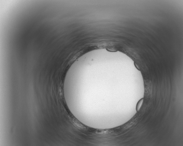 X0000067390430200604071758