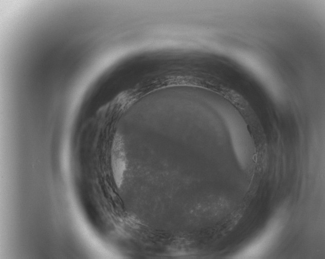 X0000067390431200604071758