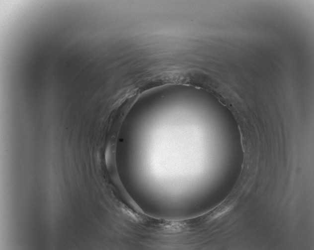 X0000067390432200604071758