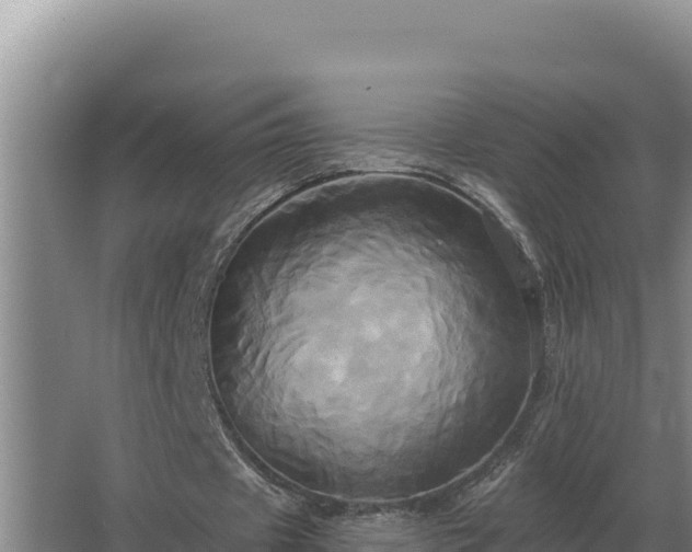 X0000067390433200604071757