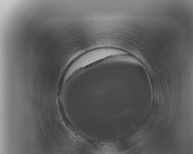 X0000067390434200604071757