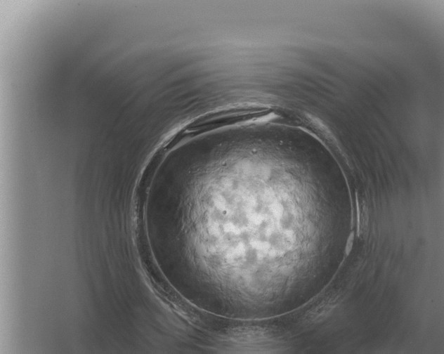 X0000067390435200604071757