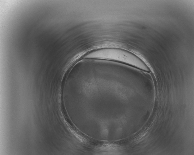 X0000067390437200604071757