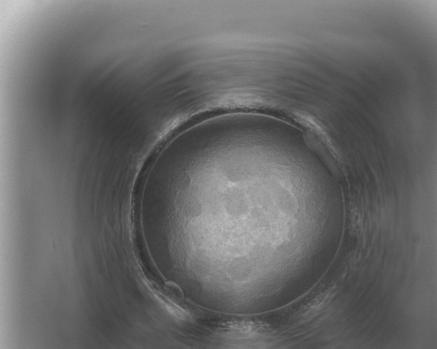 X0000067390439200604071757