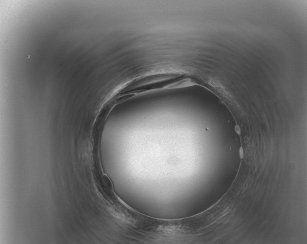 X0000067390440200604071757