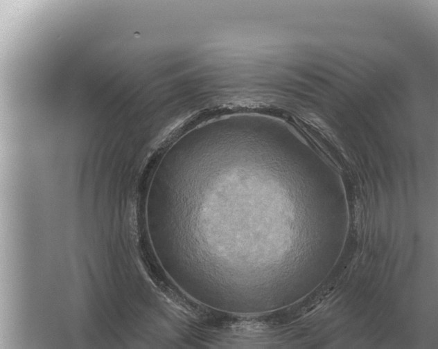 X0000067390444200604071758