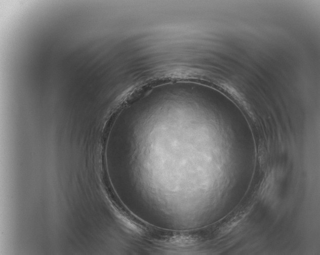 X0000067390445200604071758