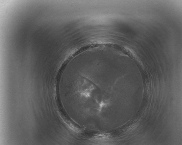 X0000067390447200604071758