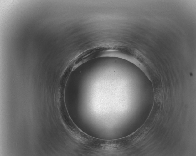 X0000067390448200604071758