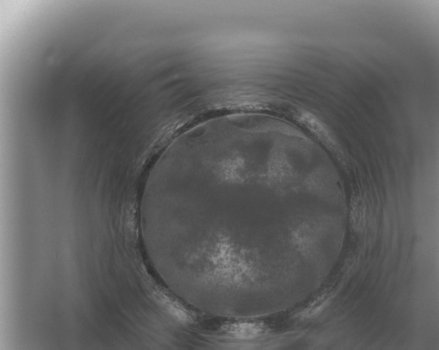 X0000067390449200604071758