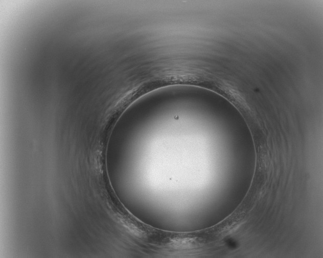 X0000067390450200604071758