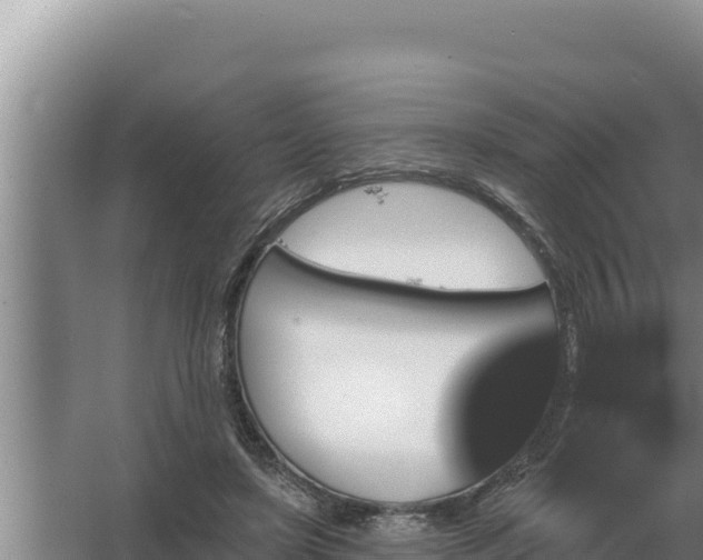 X0000067390451200604071758