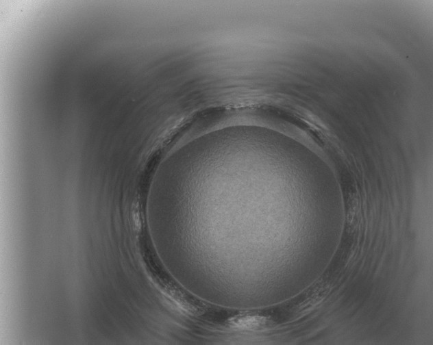 X0000067390452200604071758