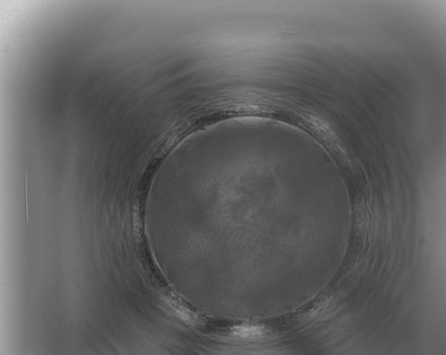 X0000067390457200604071758