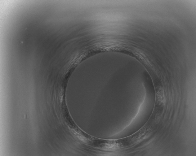 X0000067390458200604071758