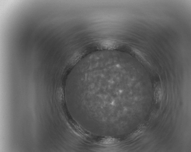 X0000067390459200604071758