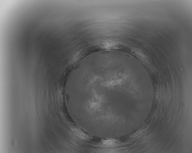 X0000067390461200604071758