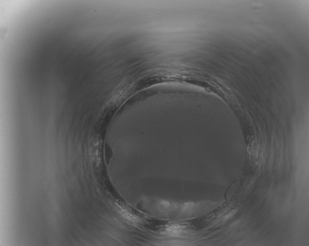 X0000067390462200604071758