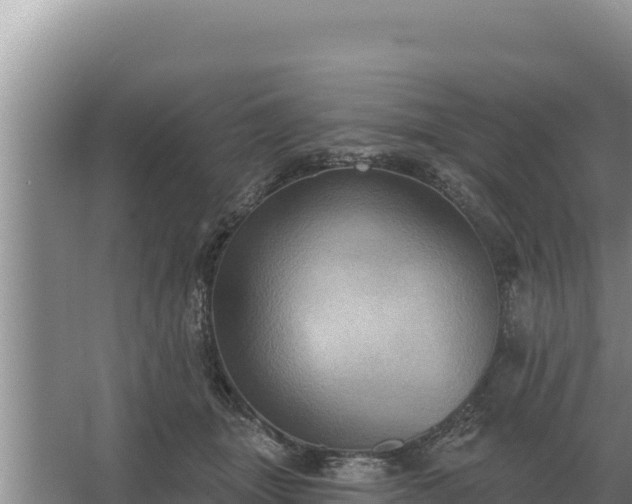 X0000067390463200604071758