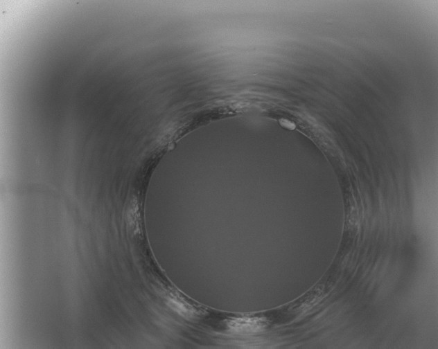 X0000067390465200604071758