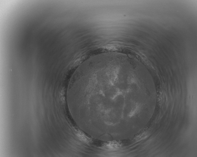 X0000067390466200604071758