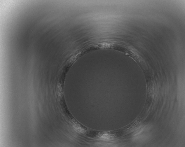 X0000067390467200604071758