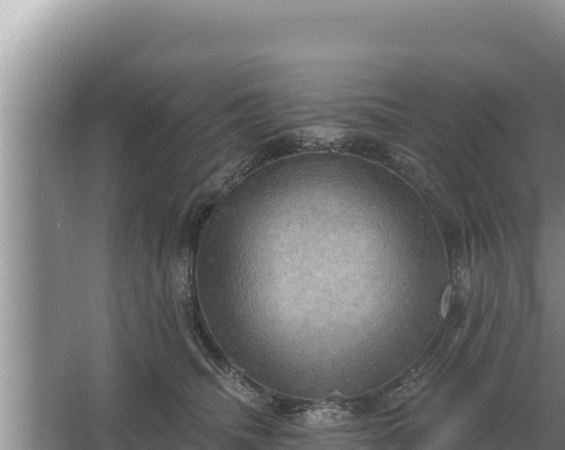 X0000067390468200604071758