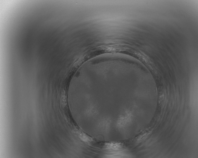 X0000067390469200604071758