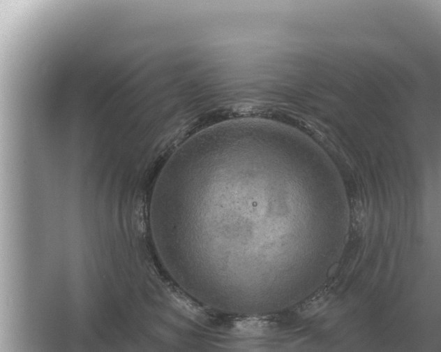 X0000067390470200604071758