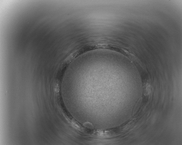 X0000067390472200604071758