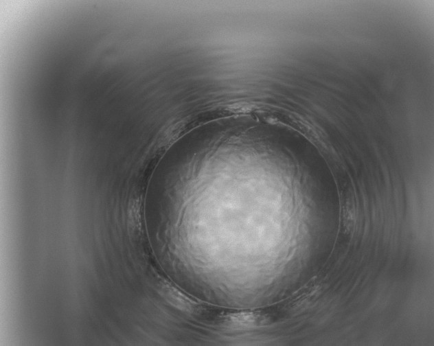 X0000067390473200604071758