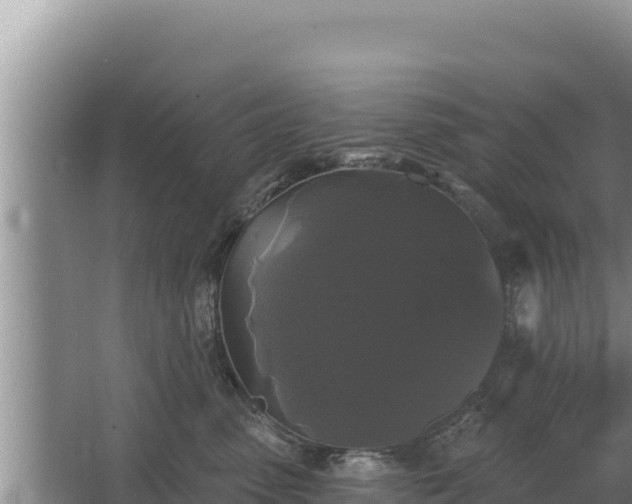 X0000067390475200604071758