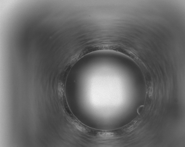 X0000067390476200604071758