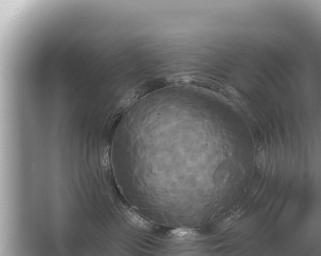 X0000067390477200604071758