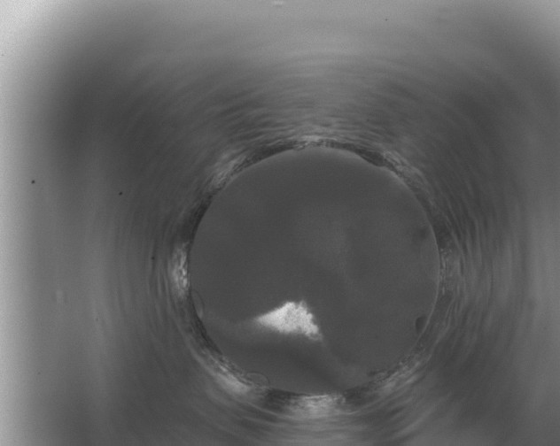 X0000067390479200604071758