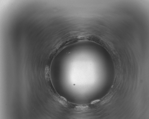 X0000067390480200604071758