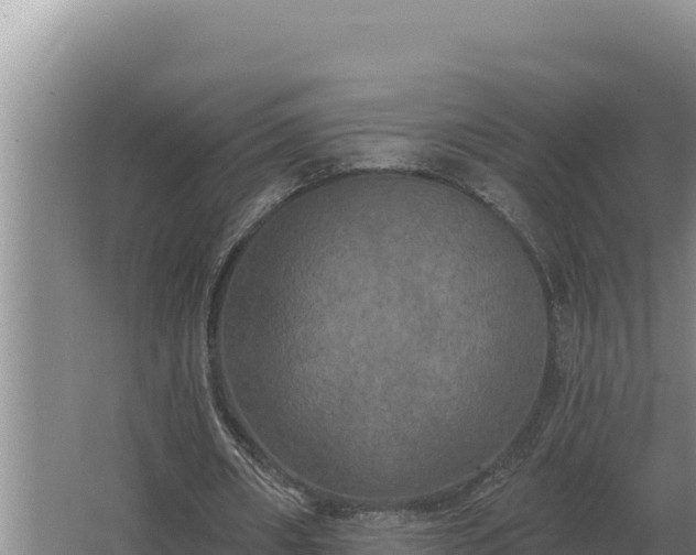 X0000067390482200604071757