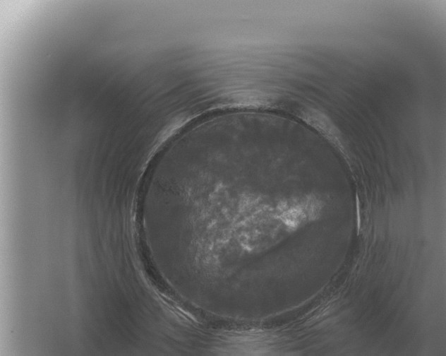 X0000067390483200604071757