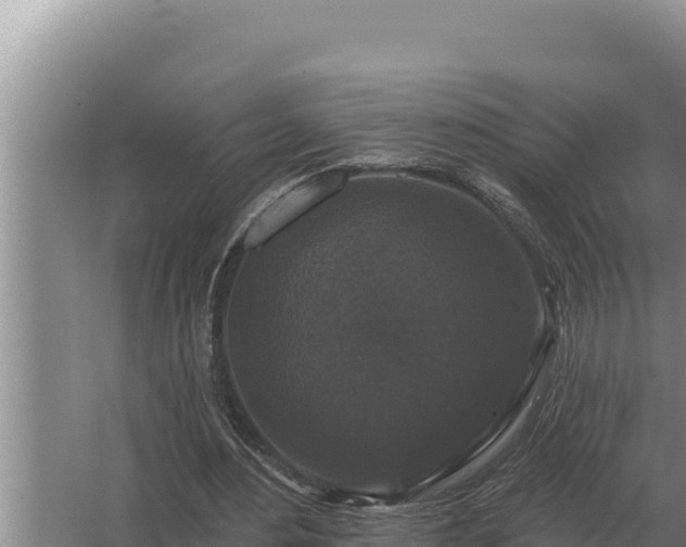 X0000067390484200604071757