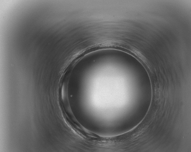 X0000067390485200604071757