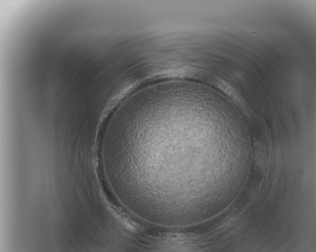 X0000067390486200604071757