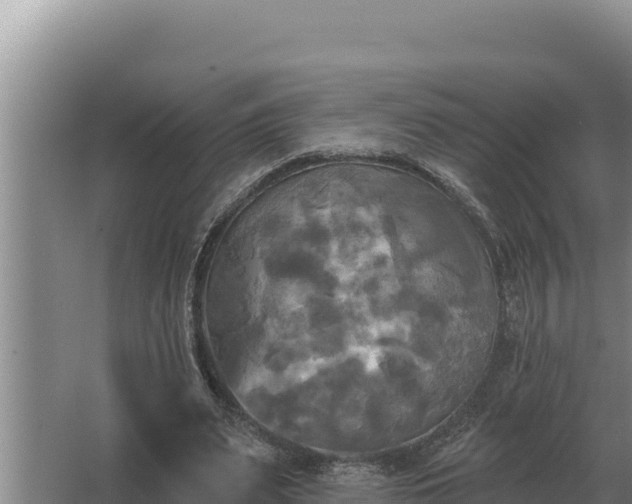 X0000067390487200604071757