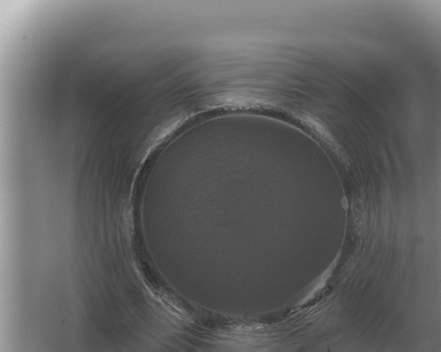 X0000067390488200604071757